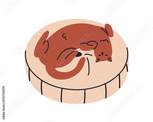 Cute cat sleeping in pet bed. Feline animal asleep, lying and dreaming on soft cushion, pillow. Kitty relaxing, chilling on back, belly up. Flat vector illustration isolated on white background