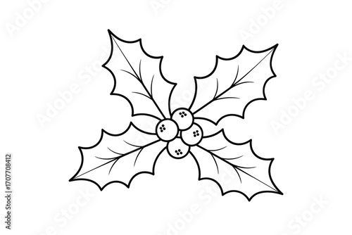 Simple black and white line drawing of holly leaves and berries