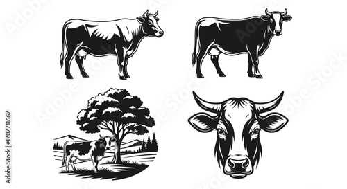 A collection of monochrome vector illustrations featuring cows, including a side view, a full body, a headshot, and a pastoral scene with a cow and tree.