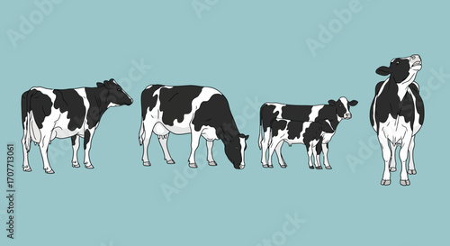 Illustration of four Holstein cows, including a calf, in various poses against a light blue background.