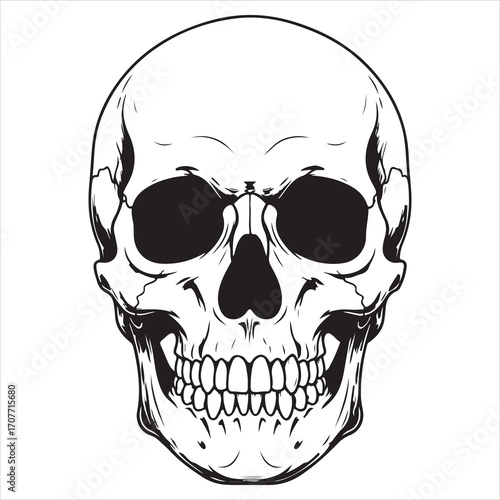 Monochrome Skull Illustration Detailed Anatomical Drawing with Bold Outlines Striking Contrast Ideal for Graphic Design and Tattoo Art