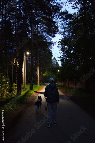 Caucasian woman with border collie dog at night on a walk in the park. Light from street lamps. View from the back.