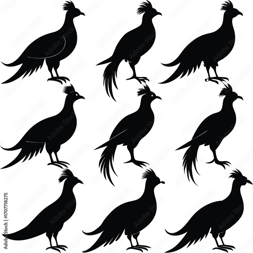 Fototapeta premium Silhouette Pheasant Birds Collection, Black Vector Illustrations