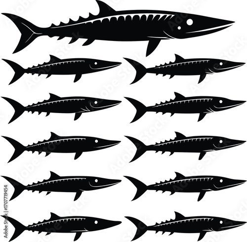 Black Silhouette Barracuda Fish Collection Vector Illustration