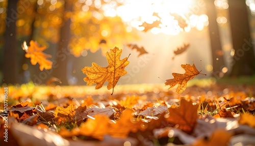 Golden Autumn Leaves Falling in a Forest With Sunlight Filtering Through Trees Creating a Warm and Serene Atmosphere in Soft Focus