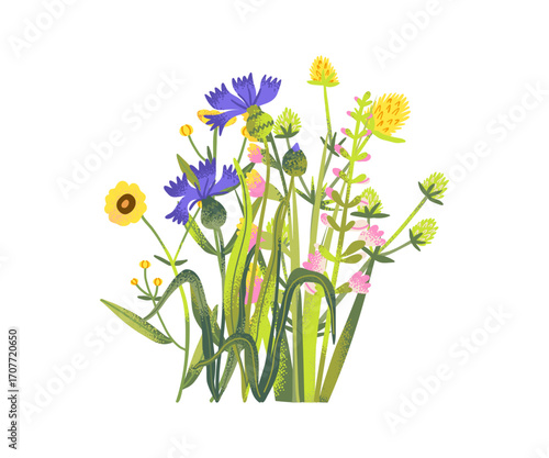 Wildflower cartoon bouquet with wild summer bunch, spring bush and colorful groove floral illustration, decorative seasonal meadow composition