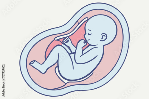 Adorable Baby Fetus in Womb Illustration.