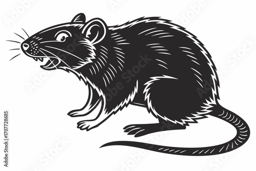 Black Rat Illustration with Open Mouth.