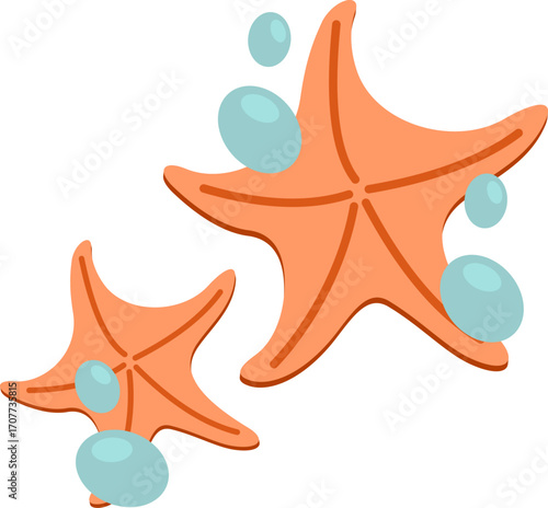 Starfish with Sea Bubbles