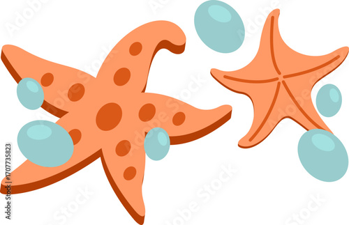 Starfish with Sea Bubbles