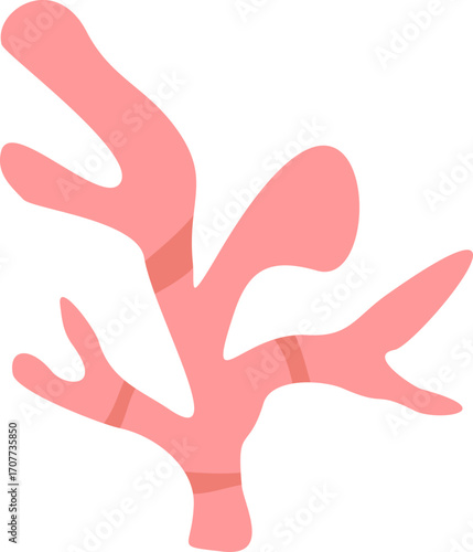 Cute Coral