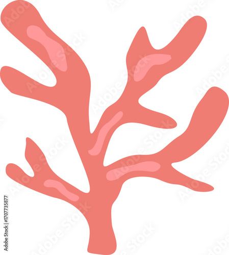 Cute Coral