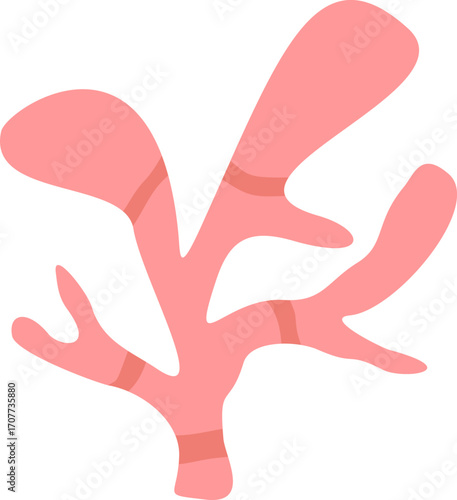 Cute Coral