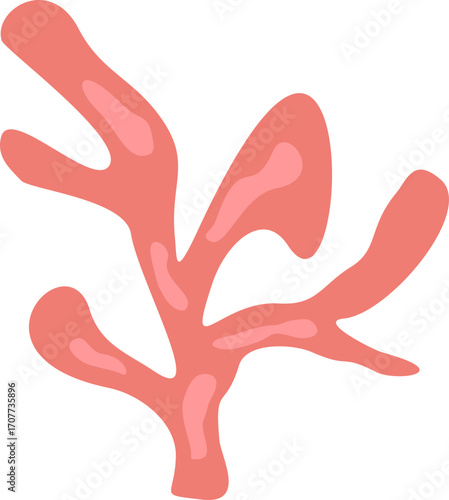 Cute Coral