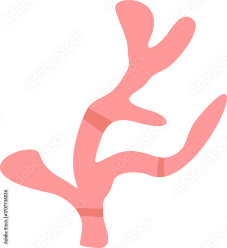Cute Coral