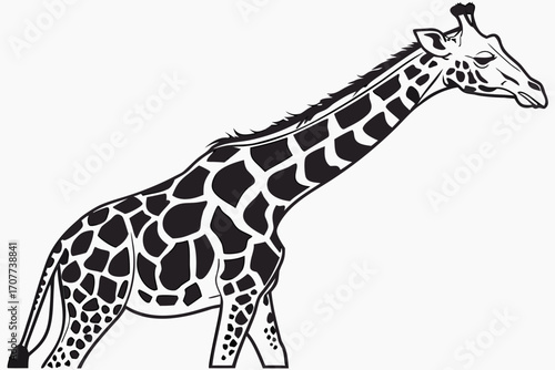 Stylized Black and White Giraffe Illustration 1.