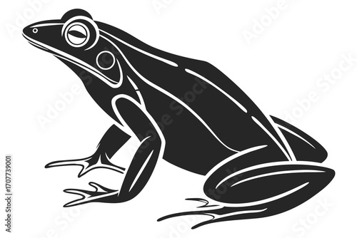 Stylized Black Frog Silhouette Illustration.