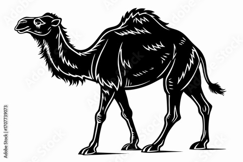 Stylized Black Silhouette of a Camel.