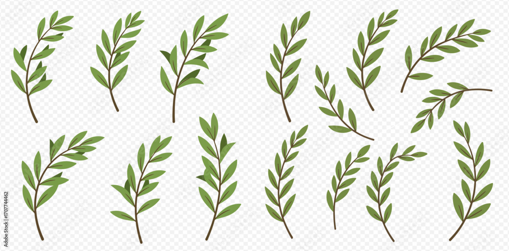 Naklejka premium A collection of various green leafy branches and sprigs, ideal for natural design elements or decorative illustrations on a transparent background.