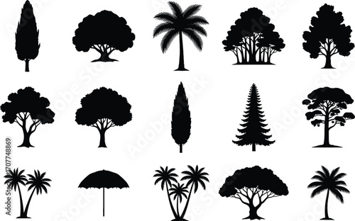 Set of tropical and deciduous tree silhouettes, palm tree, pine, umbrella shape, forest nature icons, black tree vector collection