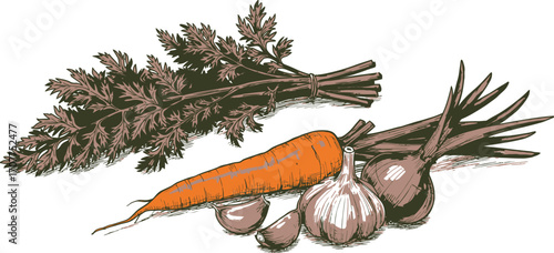 Orange Carrot and Green Parsley Bunch with Shallots vector