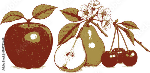Red apple pear and cherries with leaves and blossoms fruit food