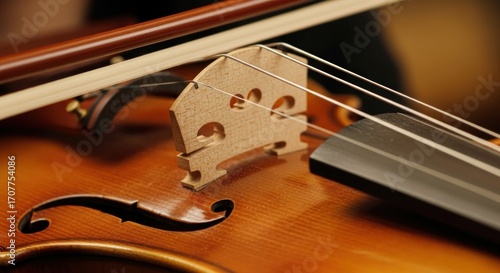 Violin bridge closeup. F-hole visible, bow resting on strings, warm lighting, shallow focus