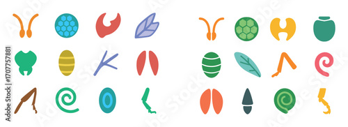 Insect Anatomy Icon Set