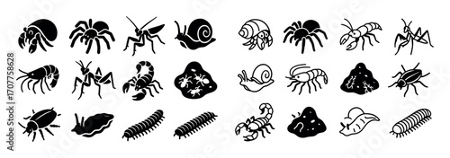 Invertebrate Icons Grid