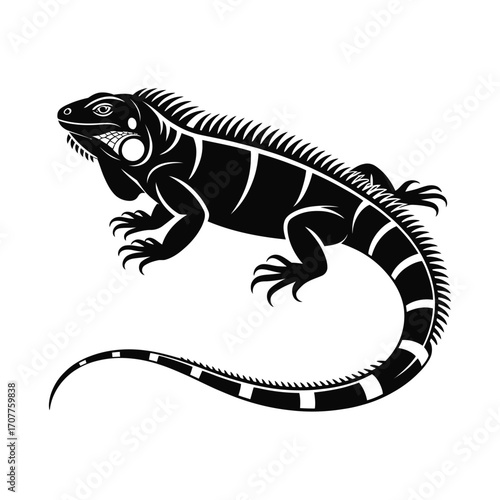 Stylized black and white illustration of an iguana