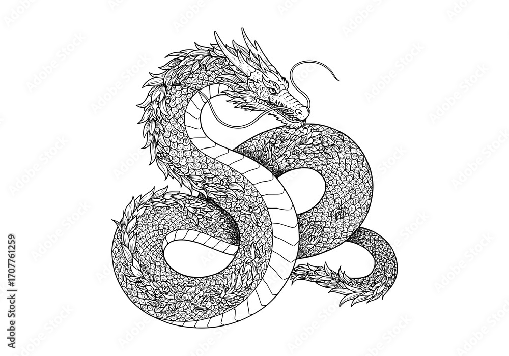 Fototapeta premium Intricate dragon illustration coiled gracefully, perfect for coloring books, tattoo designs, and mythical themes; bold lines and detailed scales stand out