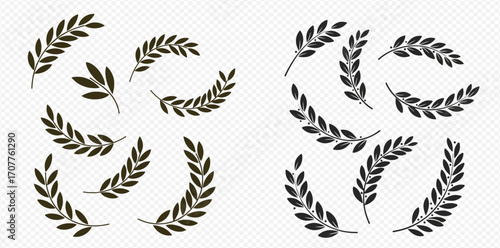 Collection of olive branch wreath illustrations in black and green, arranged in various curved and circular shapes.