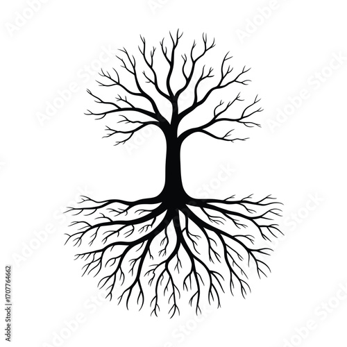 Stylized silhouette of a bare tree with intricate root system