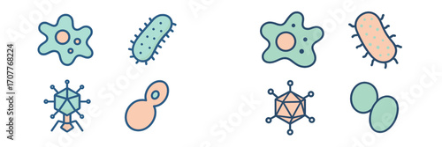 Microorganisms and microbes including bacteria, viruses, amoebas, and yeast cells for biology and science
