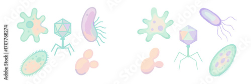 Diverse microscopic organisms set including bacteria, viruses, protozoa, and fungi for scientific concepts