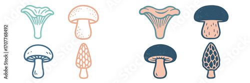 Stylized wild and cultivated mushrooms in a modern graphic style, featuring various fungi types for nature and food concepts