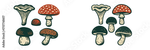 Assortment of different wild forest mushrooms with varied caps and stems, featuring a vintage woodcut style and earthy color palette