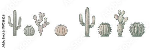 Stylized collection of desert plants featuring various cactus species like saguaro, prickly pear, and barrel cacti