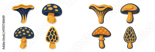 Assortment of stylized paper cut mushrooms and fungi in a modern layered design with vibrant colors and shadows
