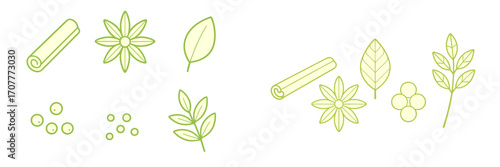 Assortment of aromatic spices and botanical elements including cinnamon sticks, star anise, fresh leaves, and berries