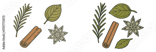 Assortment of aromatic culinary herbs and spices including fresh rosemary bay leaf cinnamon stick and star anise pods