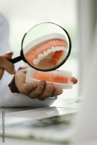 A dentist holds a dental model, demonstrating oral health, teeth structure, hygiene, and dental care for patient education and treatment guidance.