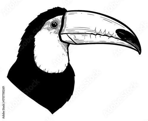 Detailed Toucan Head Profile Side View Black and White Outline Line Art Drawing Engraving Style