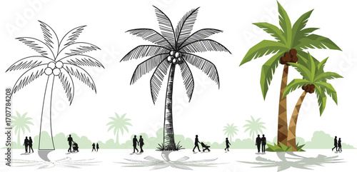 Coconut palm tree evolution with people walking, tropical nature scene, growth stages illustration, beach landscape, vacation concept, vector art