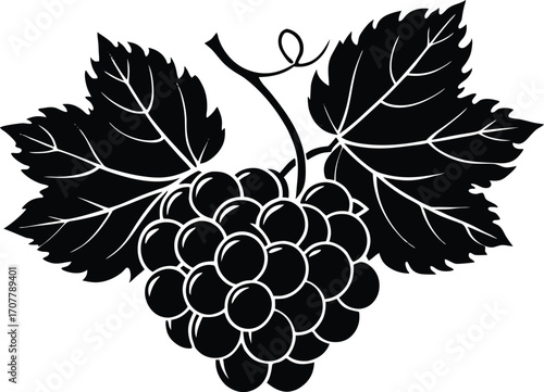 Elegant Grape Cluster Silhouette Vector, Grape Bunch Silhouette Vector Icon for Wine Labels