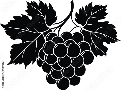 Elegant Grape Cluster Silhouette Vector, Grape Bunch Silhouette Vector Icon for Wine Labels