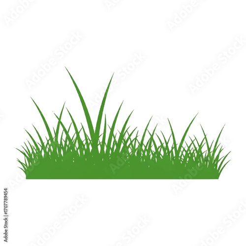 Vibrant green grass tufts and blades growing naturally, representing freshness, nature, and growth, perfect for spring and garden-themed designs or natural backgrounds