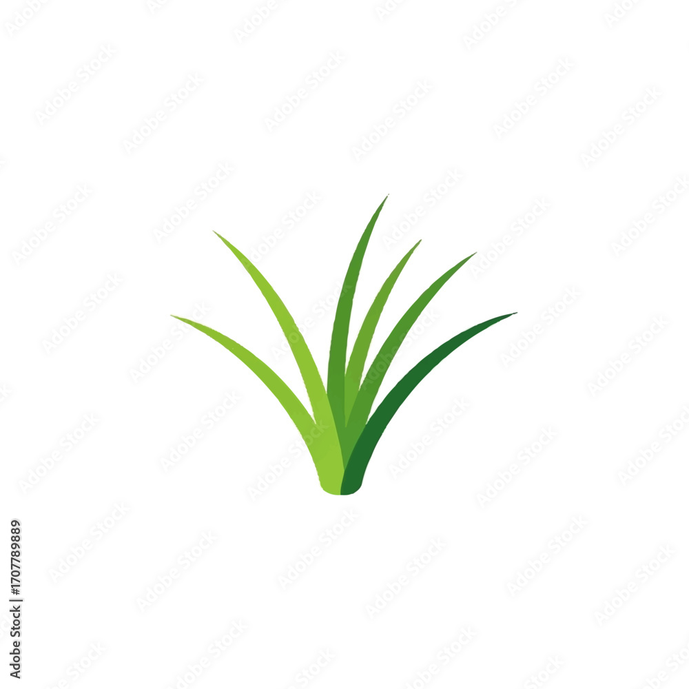 Fototapeta premium Vibrant Green Grass Blades Isolated on White A Symbol of Nature and Growth