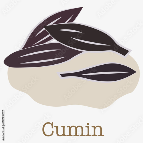 Image of cumin seeds, a popular spice used in cooking and preparing various dishes. EPS 10.