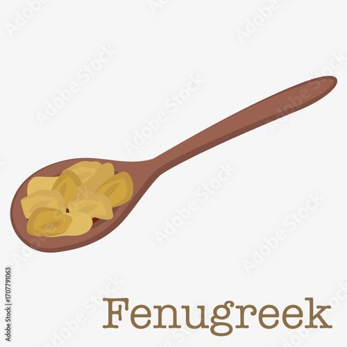 Illustration of fenugreek seeds in a wooden spoon. For projects related to cooking and natural spices.
